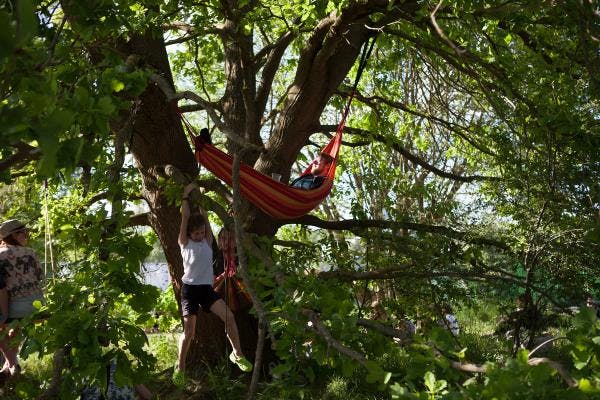Hängematte in den Bäumen und kletternde Kinder
