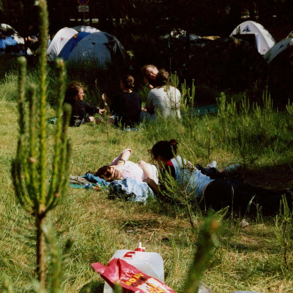 Zwei Personen liegen auf einer Decke auf der Wiese, im Vordergrund sind kleine Nadelbäume zu erkennen. 
