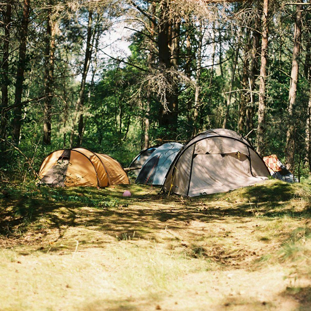Zelte im Wald